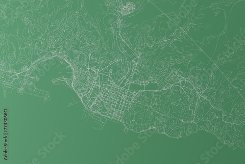 Stylized map of the streets of Genoa (Italy) made with white lines on green background. Top view. 3d render, illustration