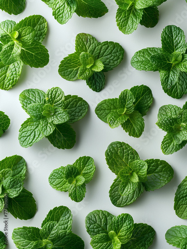 A close up of green mint leaves. AI.