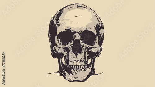 Skull illustration vintage design. Perfect for tshirt © RedFish
