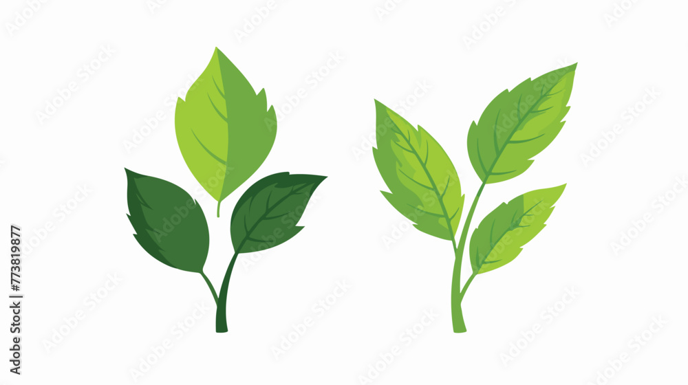 Two leaves eco icon. isolated on white. Vector . Green