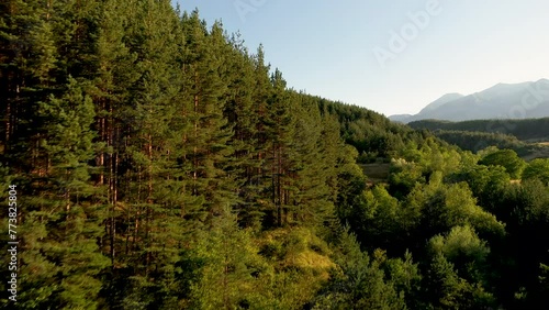Drone shot aerial view scenic landscape of Big Lake and nature wood and forest.
