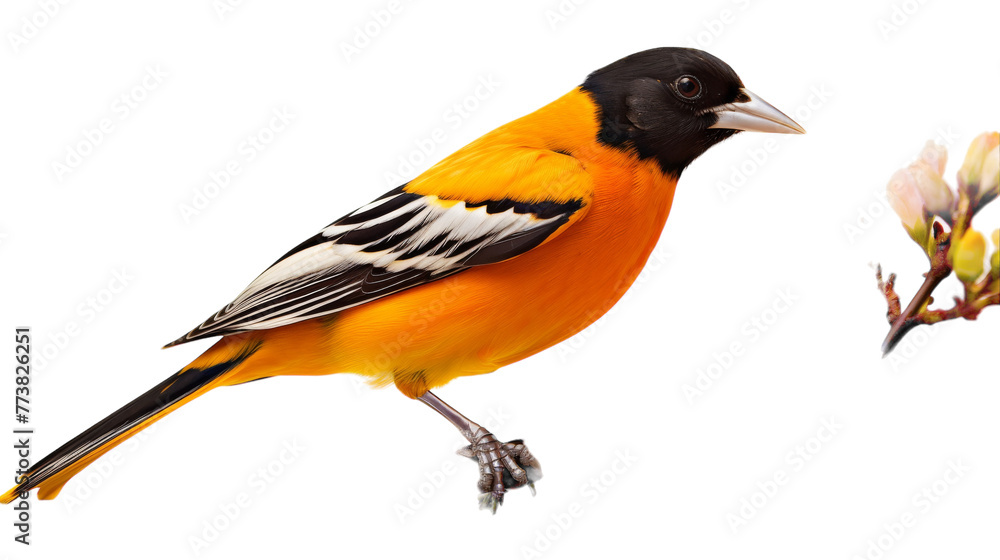 Fototapeta premium A bird perches gracefully on a branch surrounded by colorful flowers