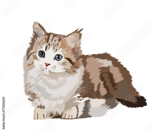 vector illustration of a cute gray cat with shaggy fur. suitable for children's story books, book covers, icons, digital games, animation, etc.