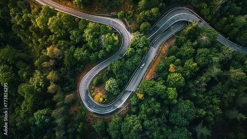 winding mountain roads in the middle of the forest, which makes the journey exciting, generated by AI