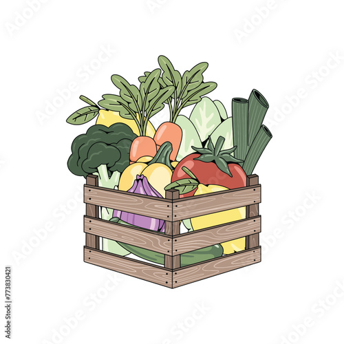 Hand Drawn Healthy Food Vegetable Illustration