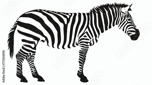 Zebra silhouette Animal om white background Flat vector © Hassan