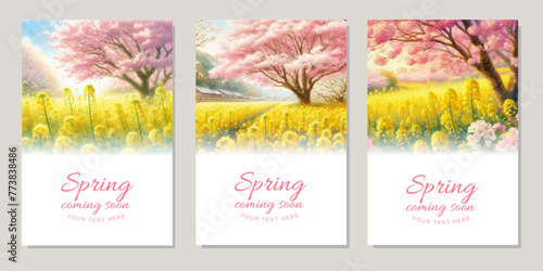 Watercolor illustration background of cherry blossoms in full bloom and yellow rapeseed flowers

