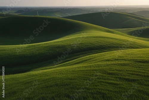 green field in the morning © Prashant