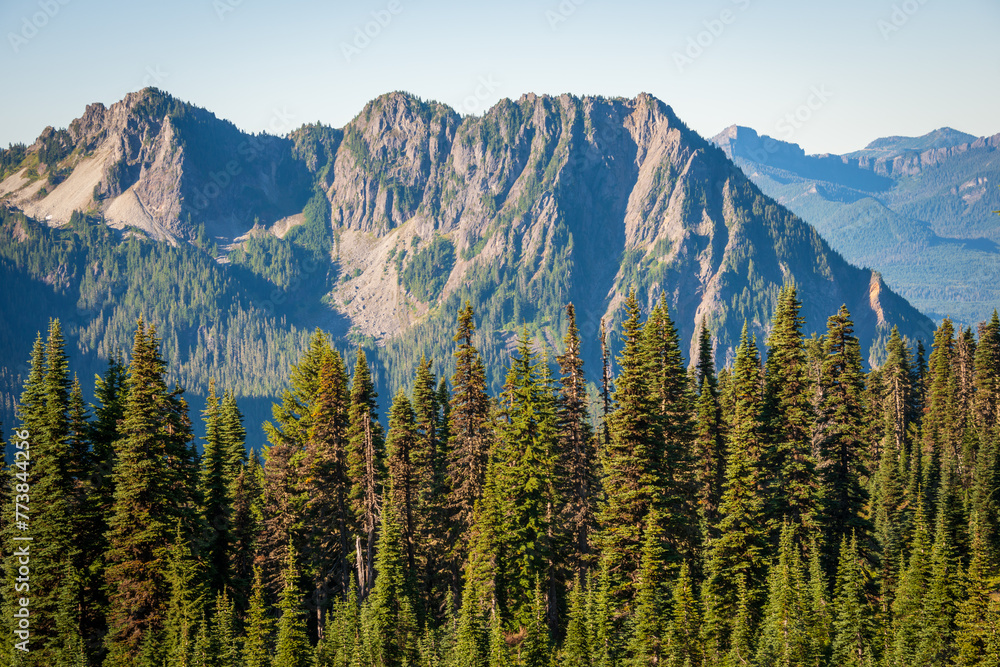 Overlook of the Forest and Mountain Range at Mount Rainier National Park in Washington State