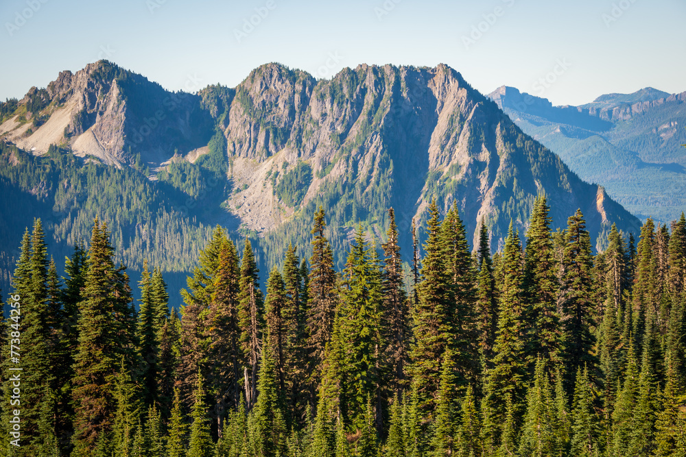 Overlook of the Forest and Mountain Range at Mount Rainier National Park in Washington State Overlook of the Forest and Mountain Range at Mount Rainier National Park in Washington State