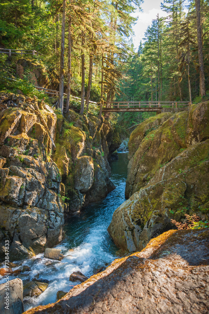 Fototapeta premium Hiking Bridge at Mount Rainier National Park in Washington State