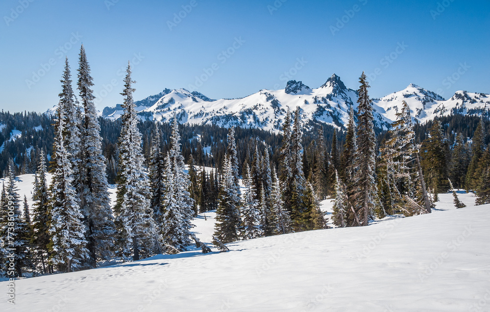 Winter View of Snow Covered Rainier Mount Rainier National in Washington State