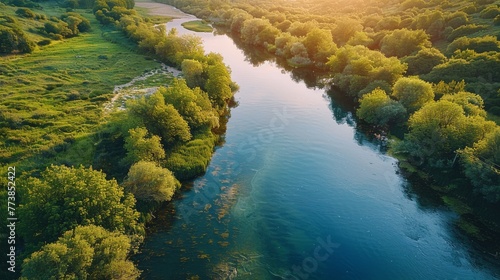 River Flowing Through Lush Green Forest