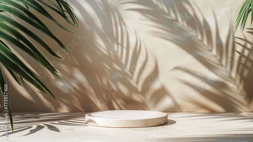 Two Plants Next to Wall