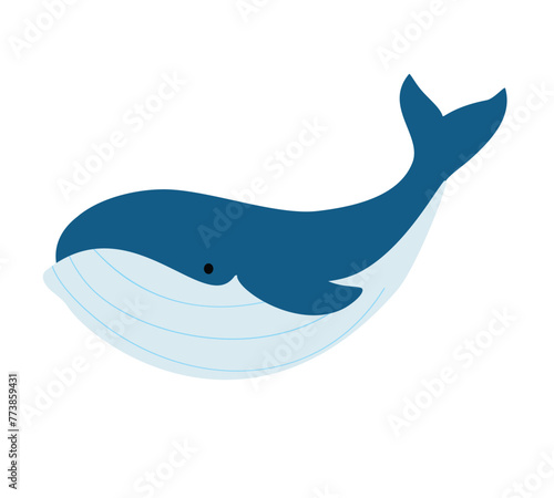 Whale. Underwater marine life