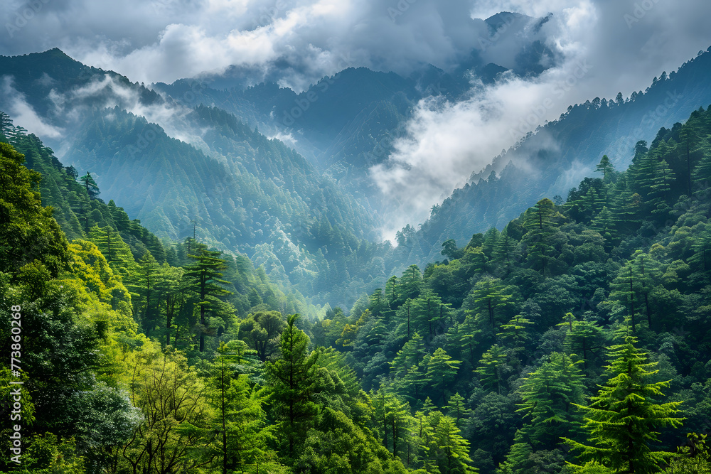 Sunlight filters through the clouds over a dense, green mountainous forest, creating a tranquil and vibrant landscape scene.