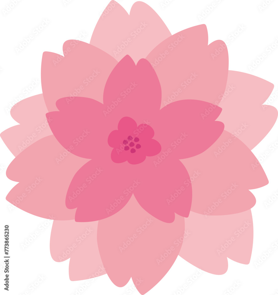 벚꽃 벚꽃