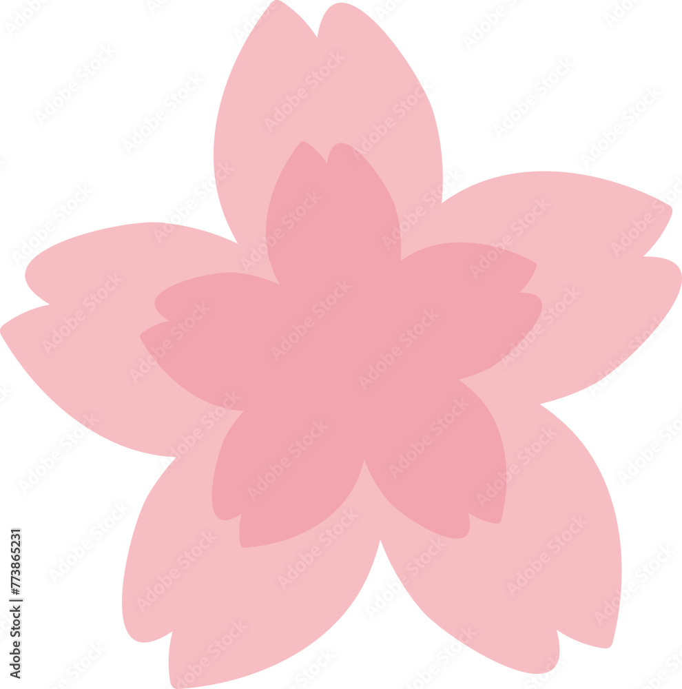 벚꽃 벚꽃