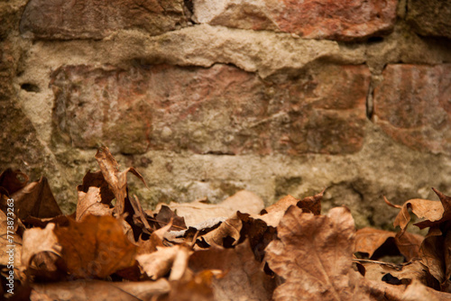 Texture of an old ragged wall background of old bricks and cracks in plaster yellow and brown tones