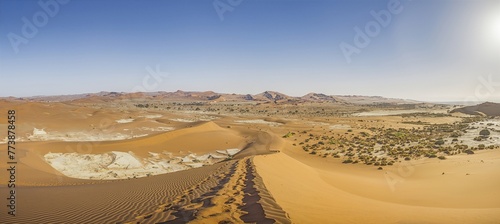 Panoramic picture of the Deadvlei salt pan in the Namib Desert with dead trees in front of red sand dunes in the morning light photo