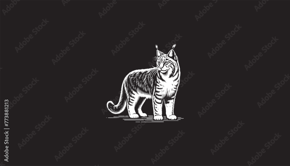 Bobcat, wildcat, bobcat design, cat design logo 