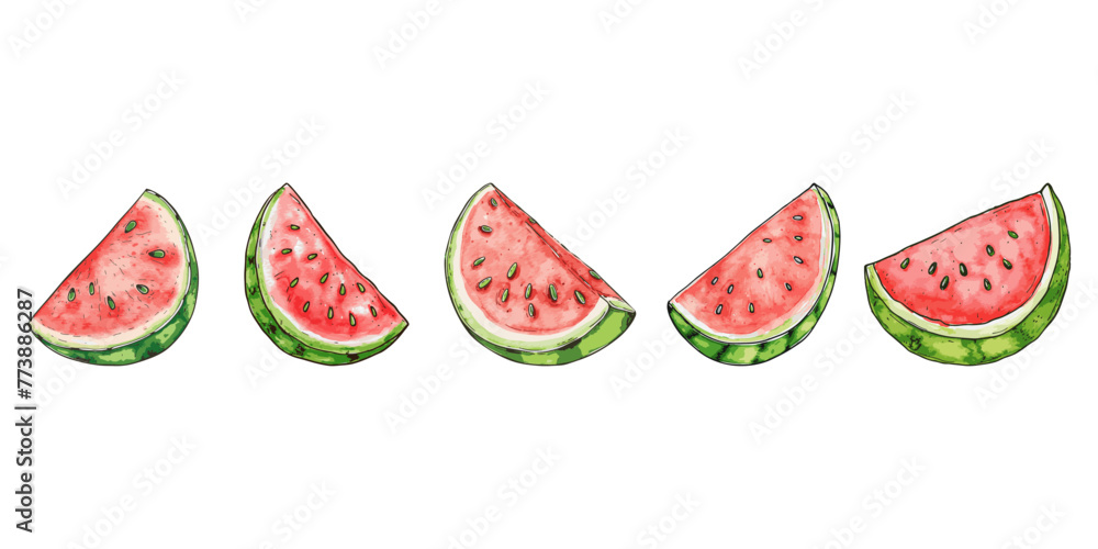 Watermelon set on white background Watermelon set on white background