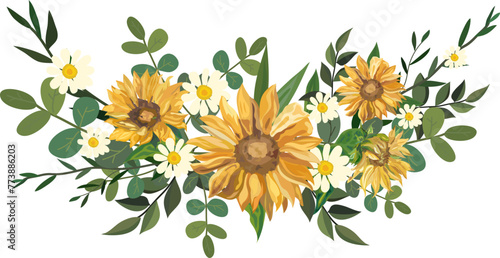 Sunflower illustration on transparent background. 