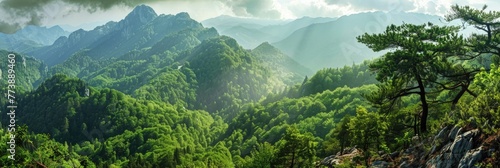 Mountain Green. Panoramic View of Green Valley with Misty Highlands and Forest