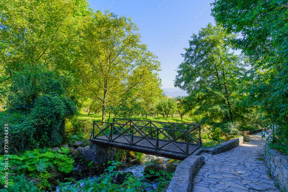 Obraz premium Footpath along the Vevchani springs