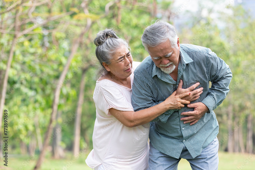 Fototapeta premium asian senior man suffering and having chest pain from heart attack in the park
