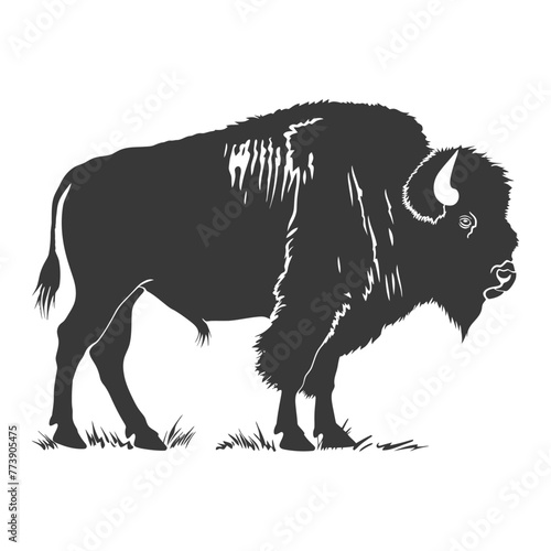 Silhouette bison animal black color only full body