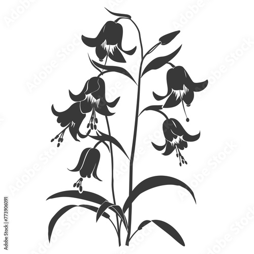 Silhouette bluebell flower black color only