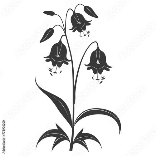 Silhouette bluebell flower black color only
