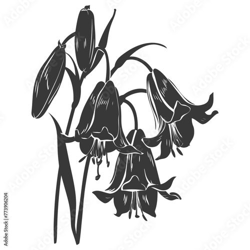 Silhouette bluebell flower black color only