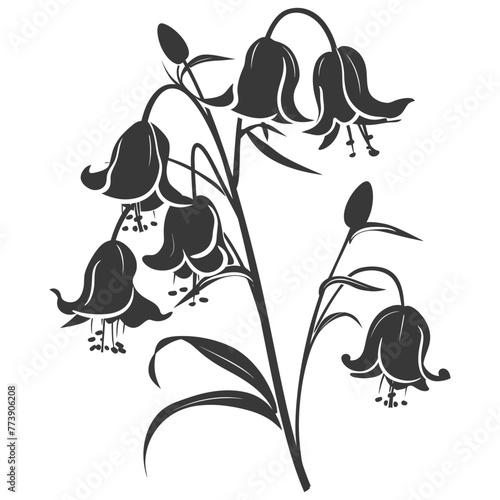 Silhouette bluebell flower black color only