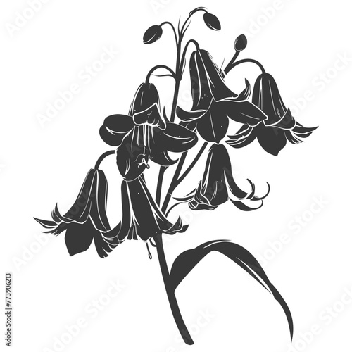 Silhouette bluebell flower black color only