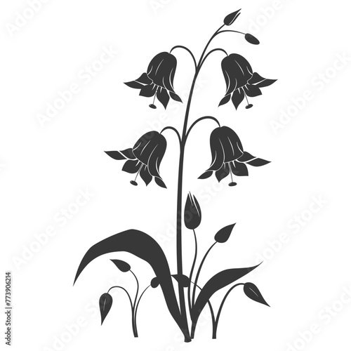 Silhouette bluebell flower black color only