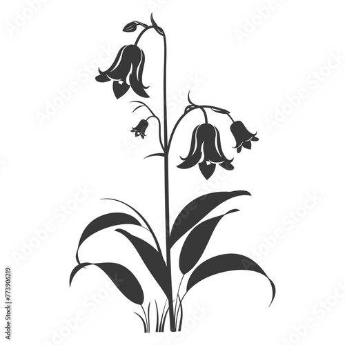 Silhouette bluebell flower black color only