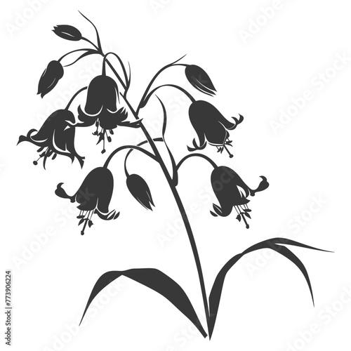 Silhouette bluebell flower black color only
