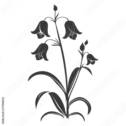 Silhouette bluebell flower black color only