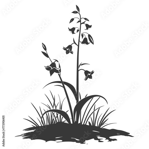 Silhouette bluebell flower in the ground black color only