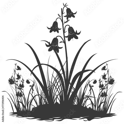 Silhouette bluebell flower in the ground black color only