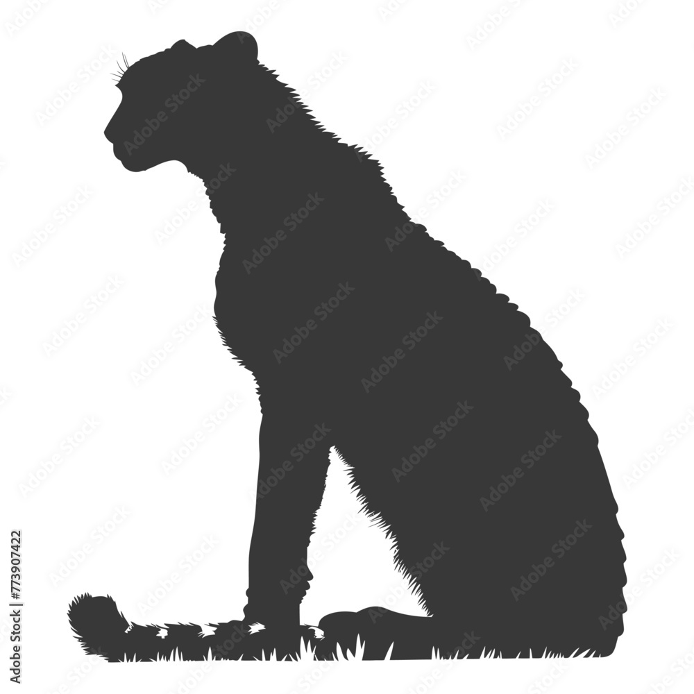 Silhouette cheetah animal black color only full body Silhouette cheetah animal black color only full body
