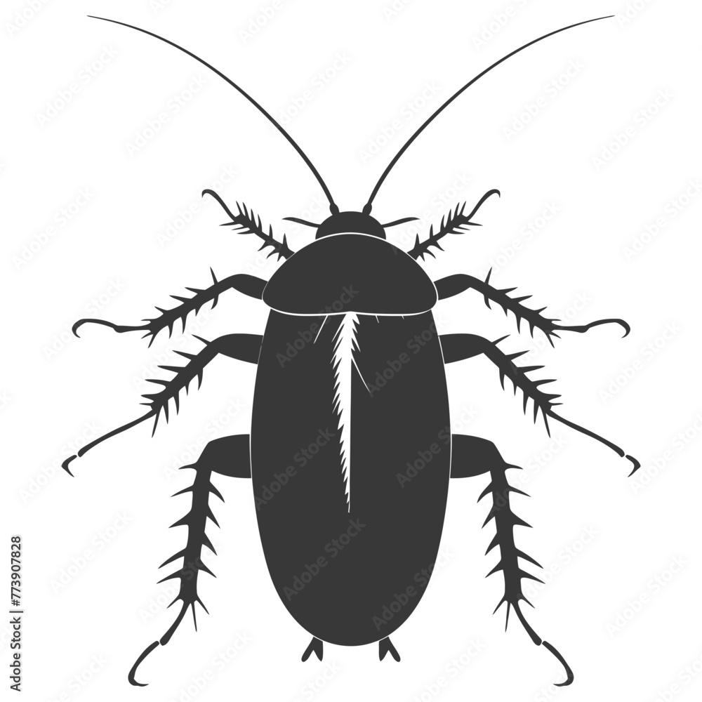 Silhouette Cockroach bug animal black color only full body Silhouette Cockroach bug animal black color only full body