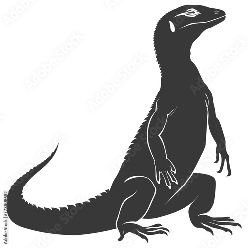 Silhouette comodo dragon reptile animal black color only full body © NikahGeh