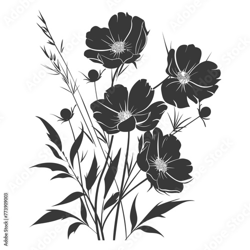 Silhouette cosmos flower black color only