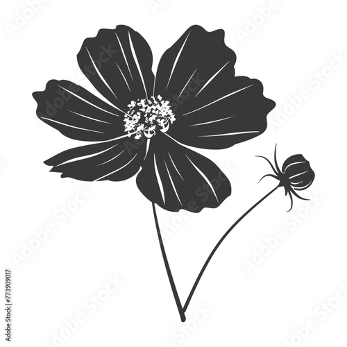 Silhouette cosmos flower black color only