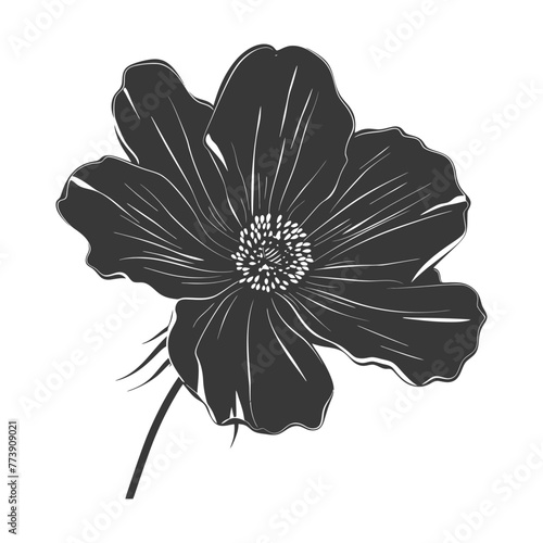 Silhouette cosmos flower black color only