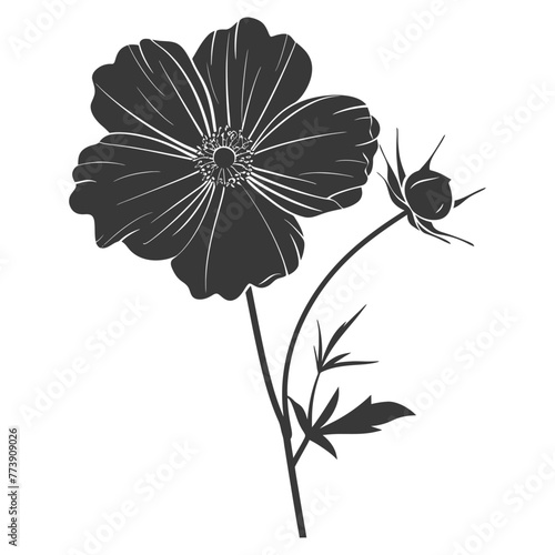 Silhouette cosmos flower black color only