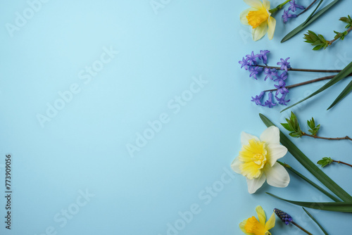 Creative composition with daffodil, and hyacinths spring flowers on blue background. Floral banner. Easter flowers concept. Flat lay, top view. Space for text.